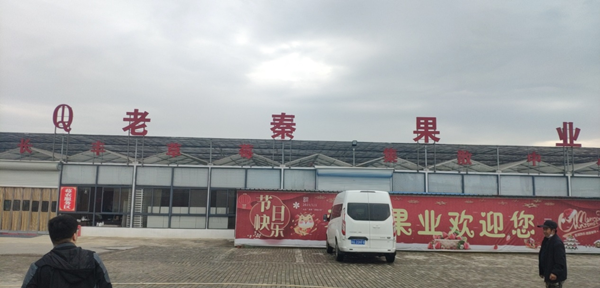 橙犀上門培訓合肥老秦果業(yè)清潔設備